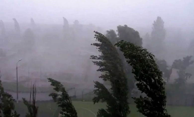 Шквалистый ветер и заморозки! В Беларуси объявлен оранжевый уровень опасности и штормовое предупреждение