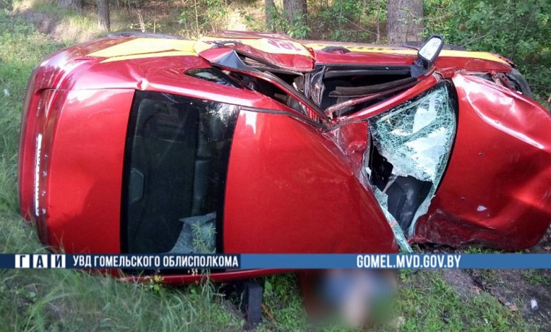 Автомобиль слетел в кювет и врезался в дерево. Водитель погиб | Гомельская область