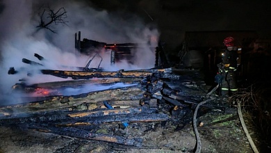 Огонь уничтожил хозяйственную постройку в Лунинецком районе