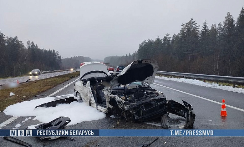 Трагедия в Витебской области: в ДТП погибли мать и сын