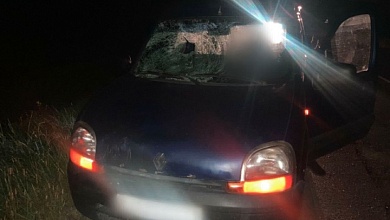 Автомобиль сбил бабушку на велосипеде в Ганцевичском районе