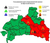 Пожары: в Пинском районе погиб мужчина, в Лунинецком горела хозпостройка