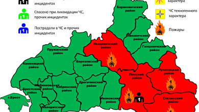 Пожары: в Пинском районе погиб мужчина, в Лунинецком горела хозпостройка