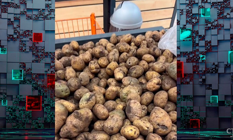 В Беларуси пропала картошка? Какое качество и цены на бульбу?