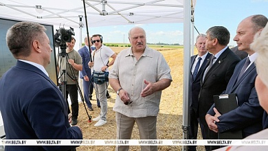 Лукашенко об уборочной кампании: надо ускоряться, чего бы ни стоило