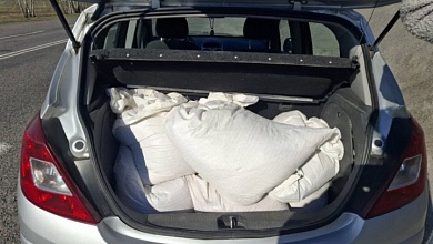 Воруют комбикорм и удобрения | Милиция отрабатывает хозяйства Брестской области