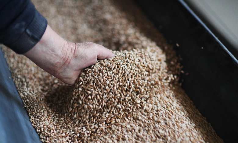 Уборка зерновых практически завершена в Лунинецком районе. Сколько намолотили?