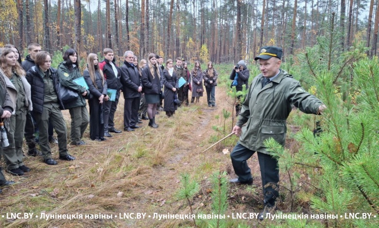 Молодые специалисты области ознакомились с работой Лунинецкого лесхоза 