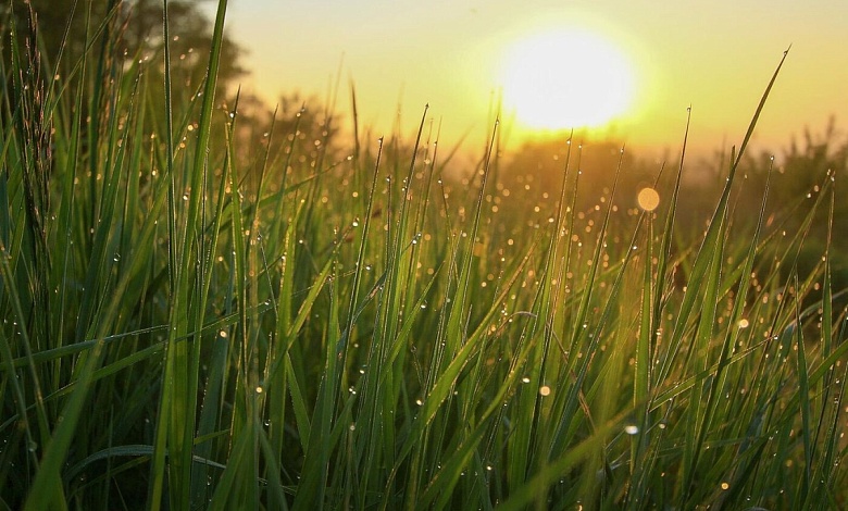 Конец лету? О погоде на неделю с 18 по 24 августа рассказал Рябов