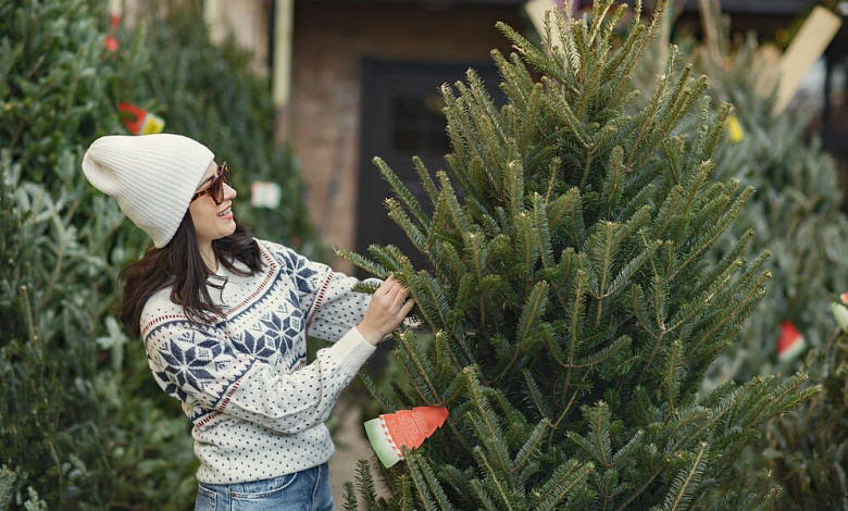 По чем новогодние елки? Начинают работу елочные базары в Лунинецком районе