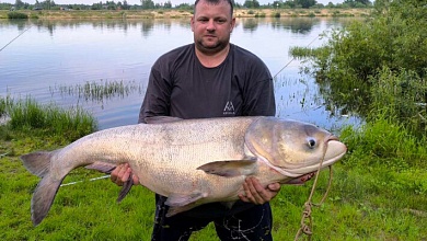 Рекордного толстолобика выловил в Припяти минчанин