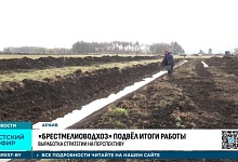 Мелиораторы подвели итоги работы в Брестской области