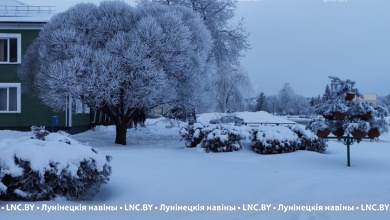 Крещенские морозы в Беларуси задержатся