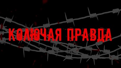 РАССТРЕЛ БЕЗЗАЩИТНЫХ НА ГРАНИЦЕ. Кадры, которые Европа хочет скрыть от мира