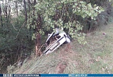 Автомобиль в Брестской области вылетел в кювет и врезался в дерево. Водитель погиб 