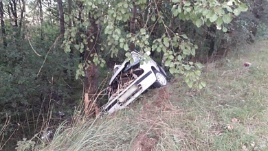 Автомобиль в Брестской области вылетел в кювет и врезался в дерево. Водитель погиб 