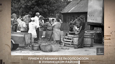 Клубника в Беларуси: Погрузитесь в атмосферу клубничного сезона вместе с архивными кадрами