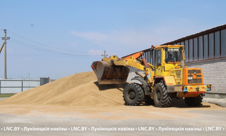 Аграрии Лунинетчины намолотили более 30 тысяч тонн зерна