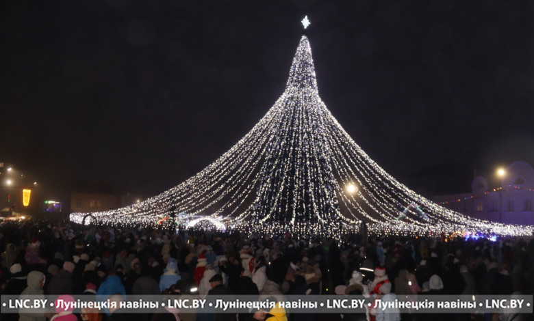 О безопасности в новогодние праздники напомнили в милиции