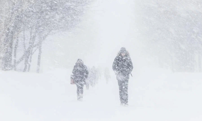 Сильный снегопад обещают синоптики 8 января в Лунинецком районе