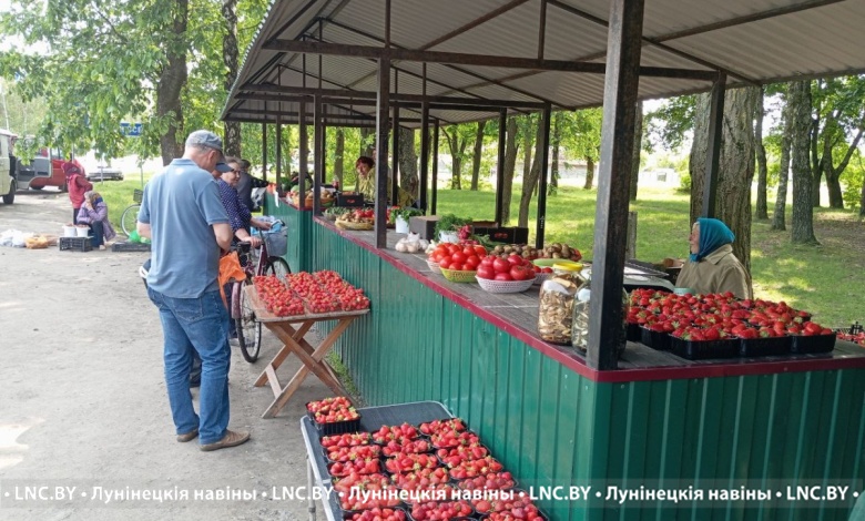 Цены на клубнику в Лунинецком районе: начал работу оптовый рынок