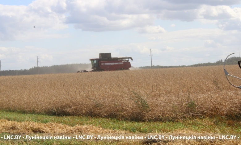 В Лунинецком районе продолжается соревнование на уборке зерновых