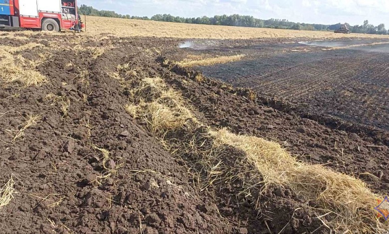 35 гектаров ярового ячменя спасли работники МЧС и хозяйства на пожаре в Брестской области