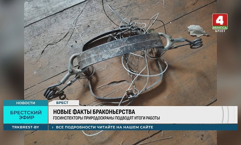 Десятки километров сетей и новые факты браконьерства в Брестской области