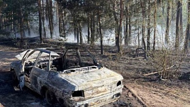 Огонь с автомобиля перекинулся на лесной массив в Калинковичском районе