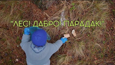 В Беларуси проведут добровольную общественную акцию "Лес! Дабро! Парадак!" 