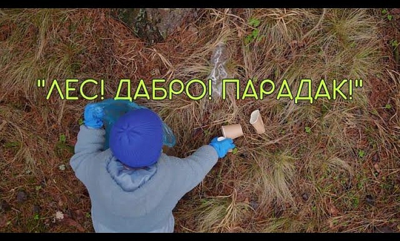 В Беларуси проведут добровольную общественную акцию "Лес! Дабро! Парадак!" 