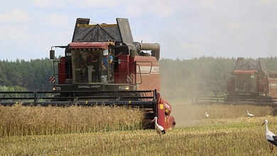 Новый день – и новые результаты на жатве-2025 в Лунинецком районе
