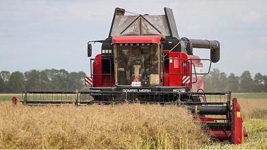 В Лунинецком районе идет уборка озимого рапса