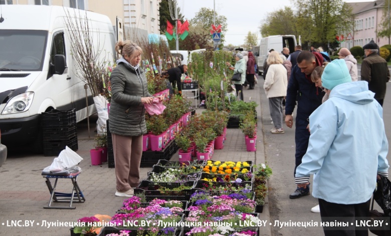 В самый раз! Весенняя ярмарка в Лунинце 