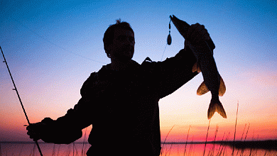 Основные запреты и ограничения при любительском рыболовстве
