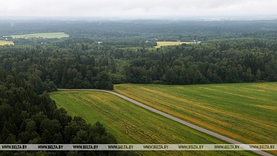 Лукашенко: в Беларуси установят полный запрет на отчуждение земель сельхозназначения