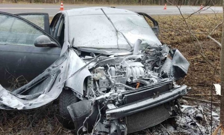 Автомобиль вылетел в кювет и врезался в дерево в Брестской области