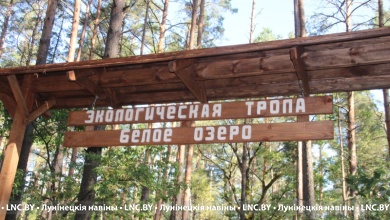 Образовательный центр под открытым небом появится в Лунинецком районе