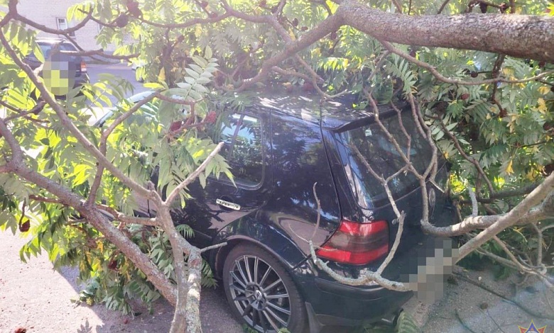 Последствия непогоды помогают устранять спасатели Брестской области