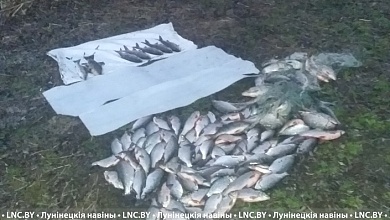 Более 16 тысяч | Браконьер заплатил ущерб, штраф и получил ограничение свободы