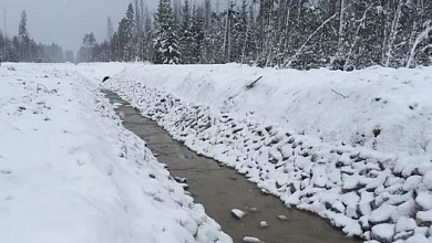 Комитет госконтроля проверил мелиоративные системы