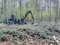 Выездные рейды по лесничествам проводятся в Лунинецком лесхозе
