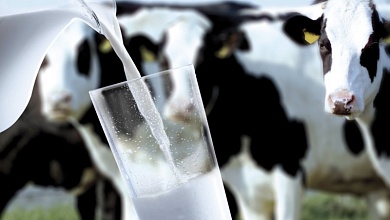 Рост производства молока в Лунинецком районе