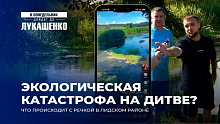 Гибнет рыба! Жители массово жалуются на реку