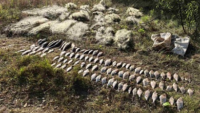 Большие штрафы "заработали" жители Пинского района за браконьерство на Припяти