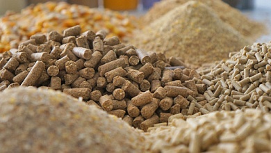 Госконтроль напоминает: кормовые добавки должны иметь государственную регистрацию 