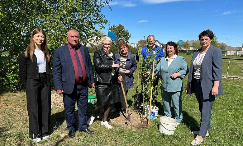 Аллею мира заложили в Язвинской средней школе