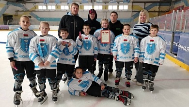 Подведены итоги первенства Лунинецкого района по хоккею с шайбой среди учащихся 3-4 классов