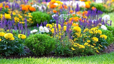 Конкурс на лучшее цветочное оформление проводят в Лунинце