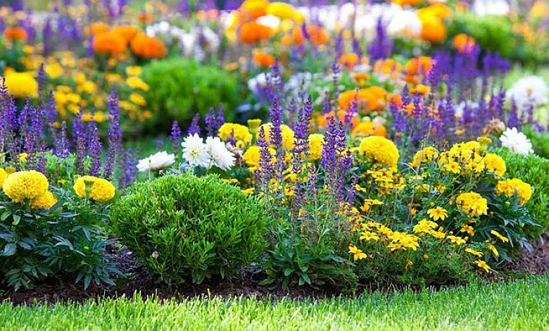 Конкурс на лучшее цветочное оформление проводят в Лунинце